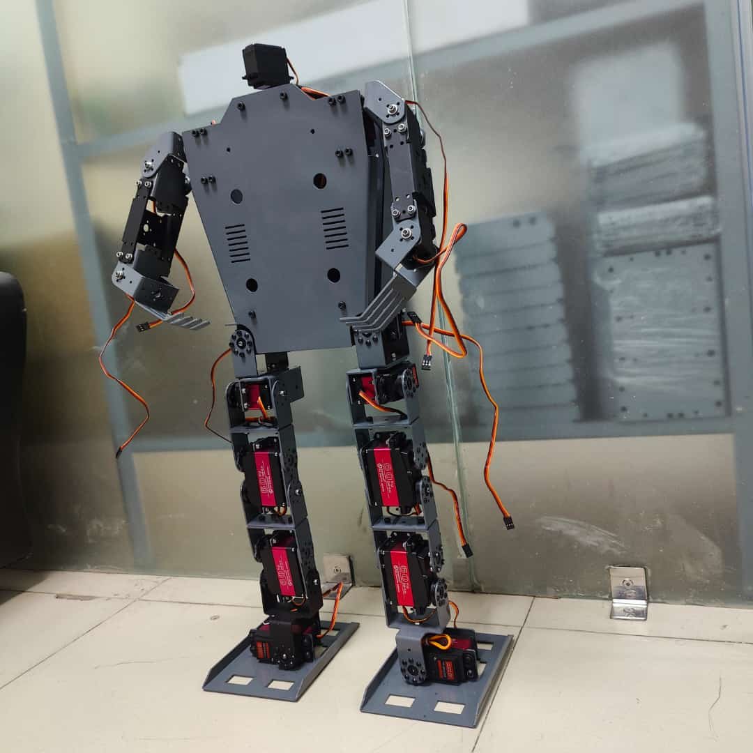 Bipedal Robot